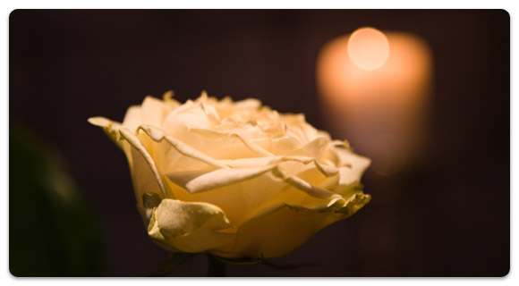 The beauty of candlelight and the fragrance of roses